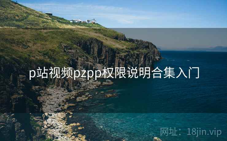p站视频pzpp权限说明合集入门