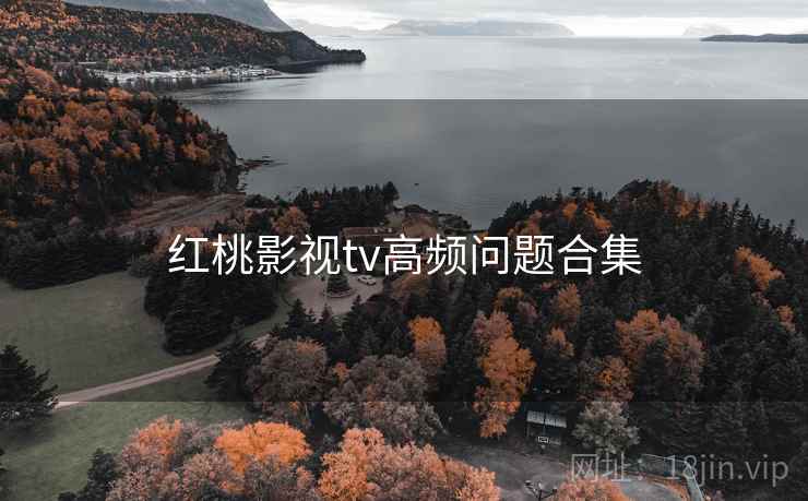 红桃影视tv高频问题合集