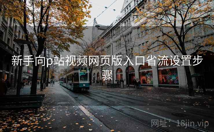 新手向p站视频网页版入口省流设置步骤