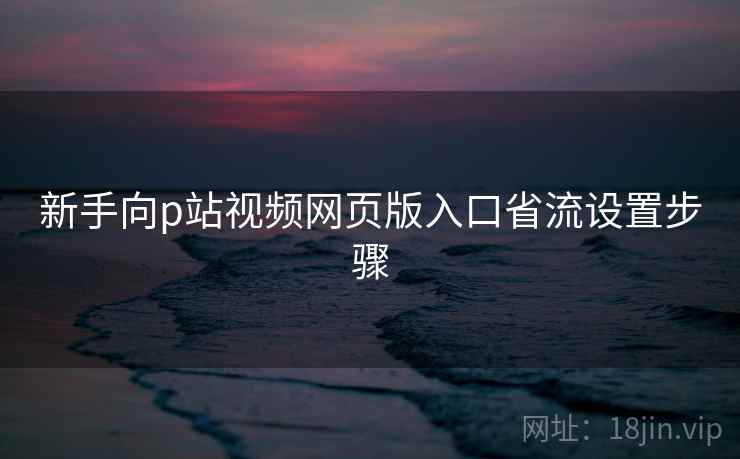 新手向p站视频网页版入口省流设置步骤