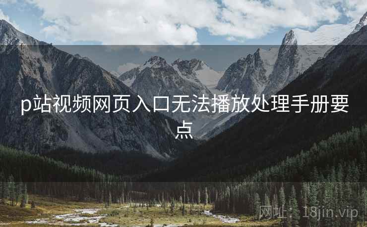 p站视频网页入口无法播放处理手册要点