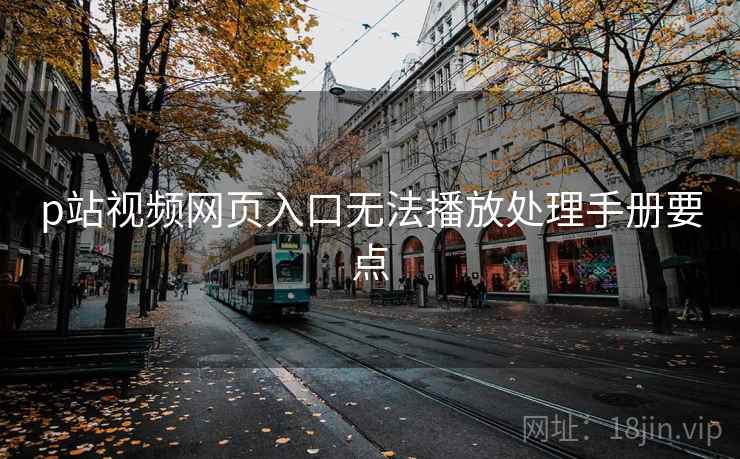 p站视频网页入口无法播放处理手册要点