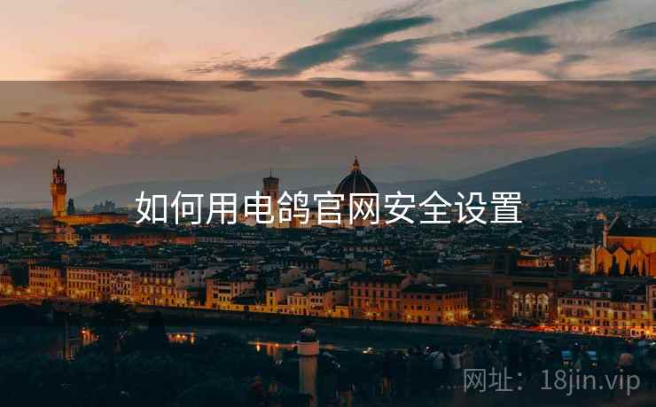如何用电鸽官网安全设置