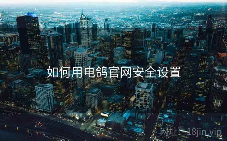 如何用电鸽官网安全设置
