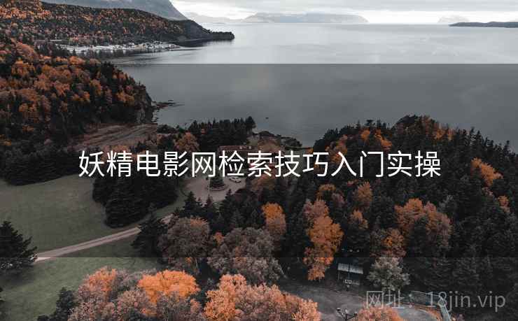 妖精电影网检索技巧入门实操