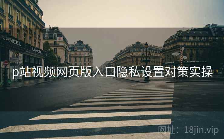 p站视频网页版入口隐私设置对策实操