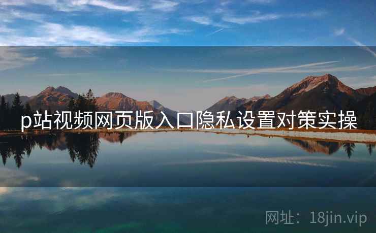 p站视频网页版入口隐私设置对策实操