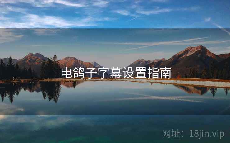 电鸽子字幕设置指南