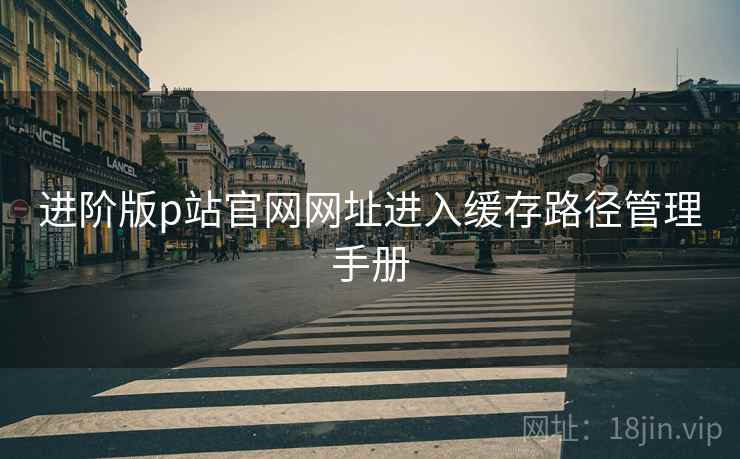 进阶版p站官网网址进入缓存路径管理手册