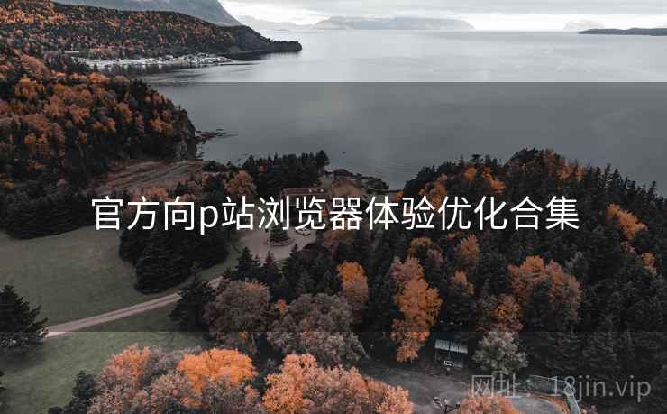 官方向p站浏览器体验优化合集