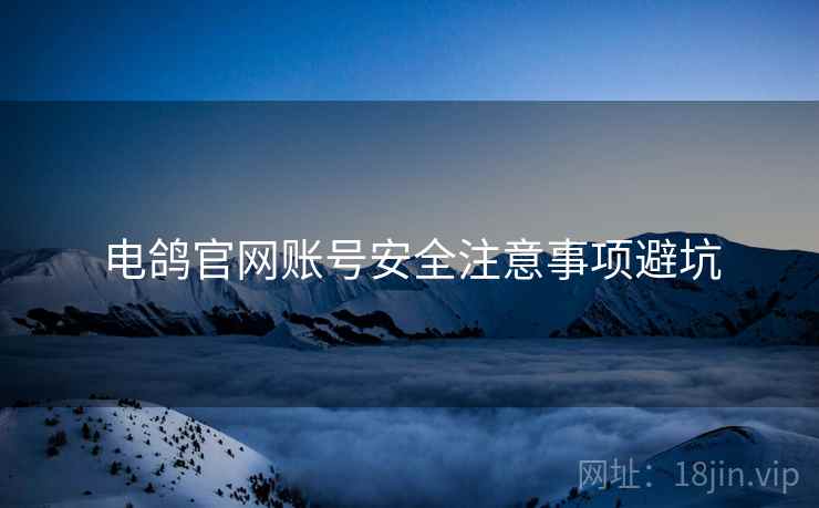 电鸽官网账号安全注意事项避坑