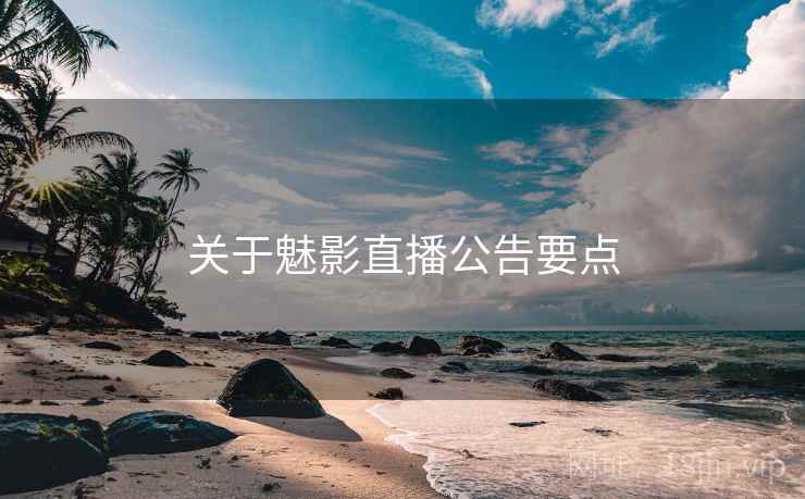 关于魅影直播公告要点