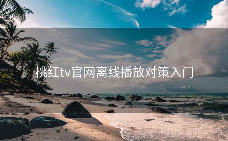 桃红tv官网离线播放对策入门
