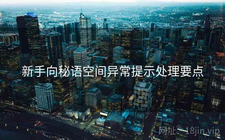 新手向秘语空间异常提示处理要点