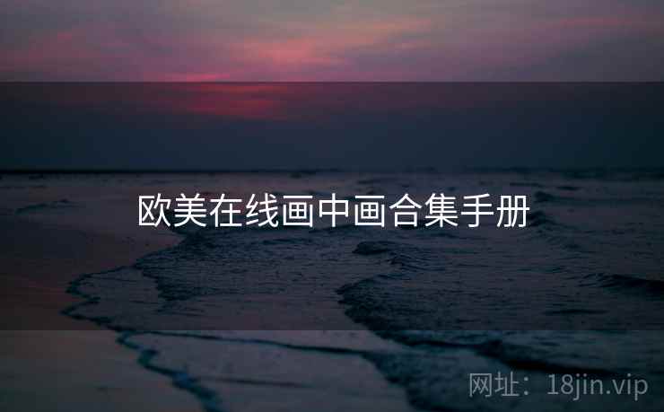 欧美在线画中画合集手册