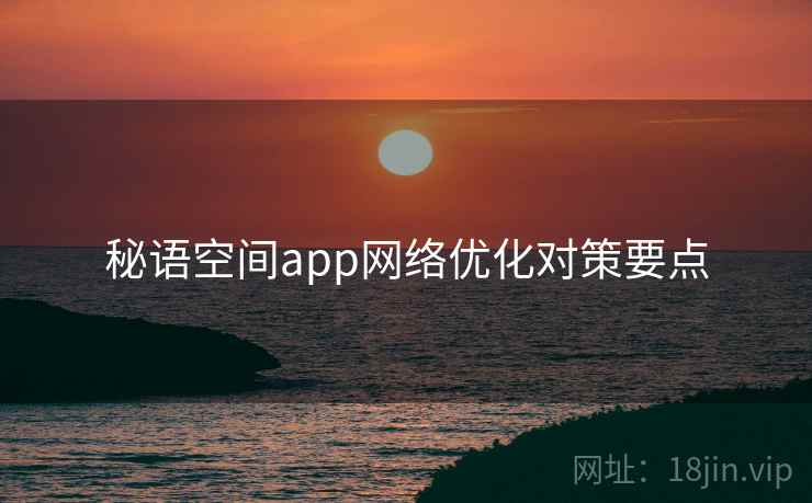 秘语空间app网络优化对策要点