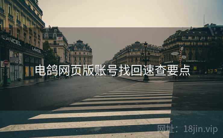 电鸽网页版账号找回速查要点