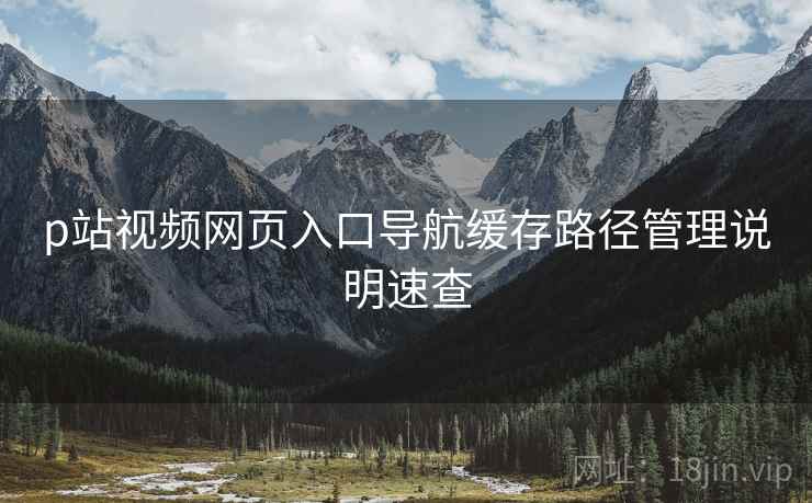 p站视频网页入口导航缓存路径管理说明速查