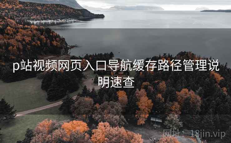 p站视频网页入口导航缓存路径管理说明速查
