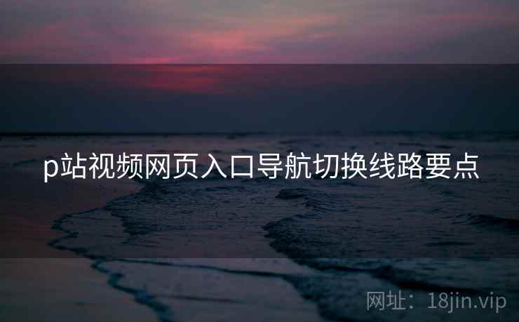 p站视频网页入口导航切换线路要点