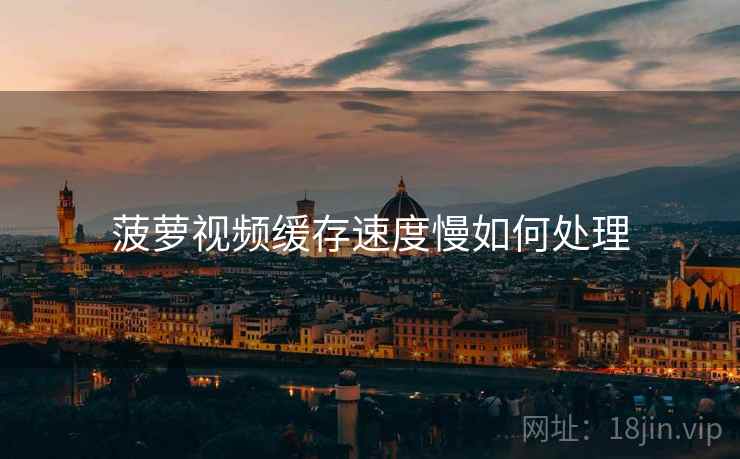 菠萝视频缓存速度慢如何处理