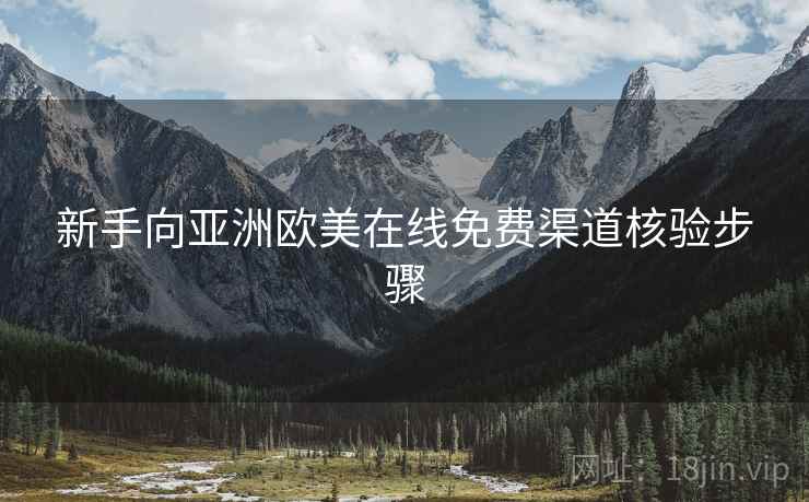 新手向亚洲欧美在线免费渠道核验步骤