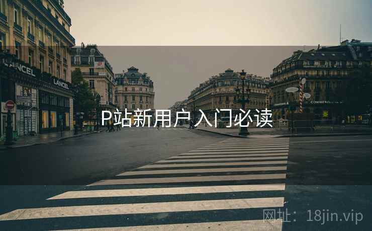 P站新用户入门必读
