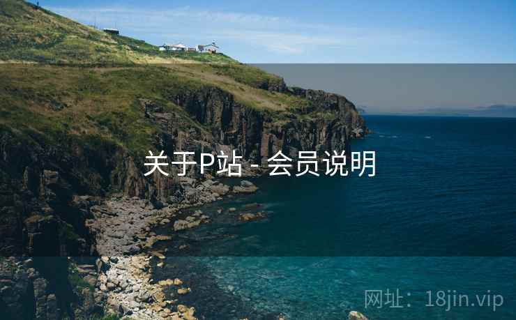 关于P站 - 会员说明