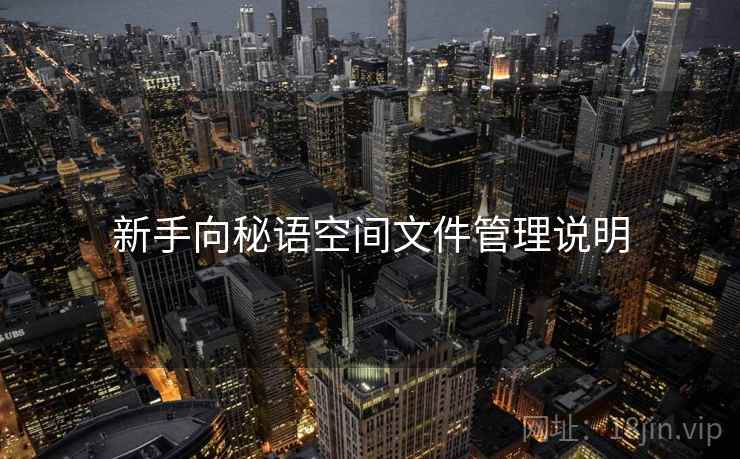 新手向秘语空间文件管理说明