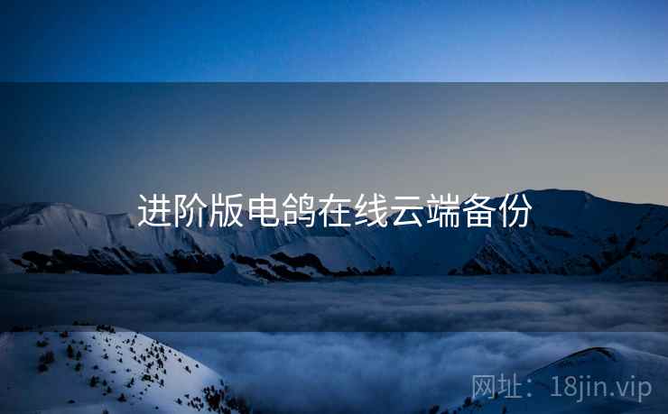 进阶版电鸽在线云端备份