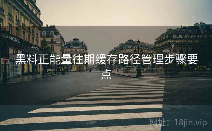 黑料正能量往期缓存路径管理步骤要点