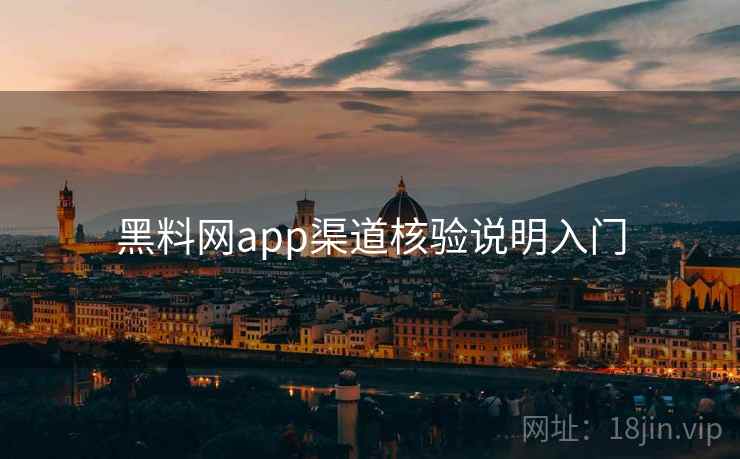 黑料网app渠道核验说明入门