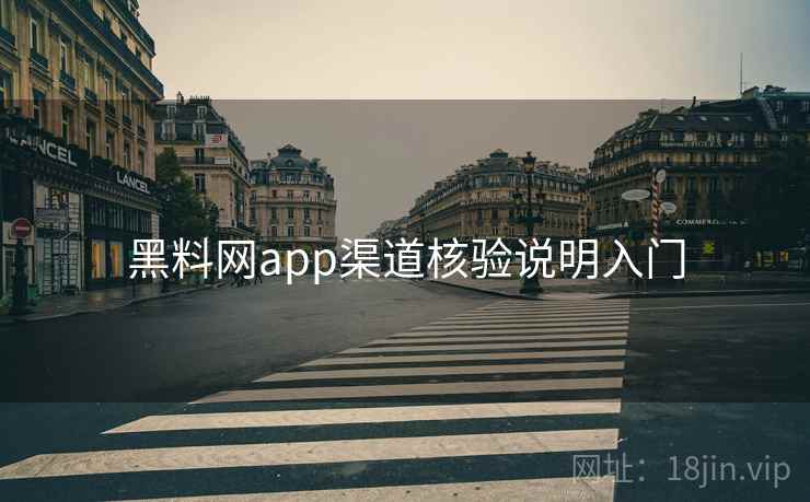 黑料网app渠道核验说明入门