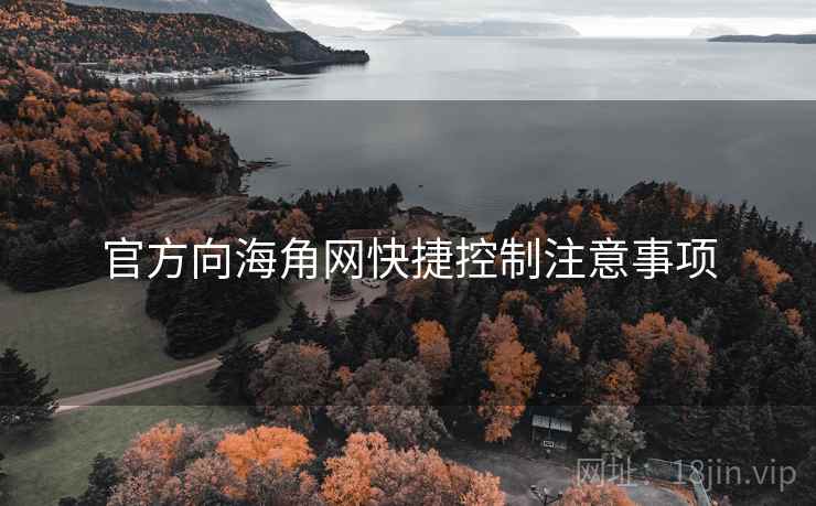 官方向海角网快捷控制注意事项