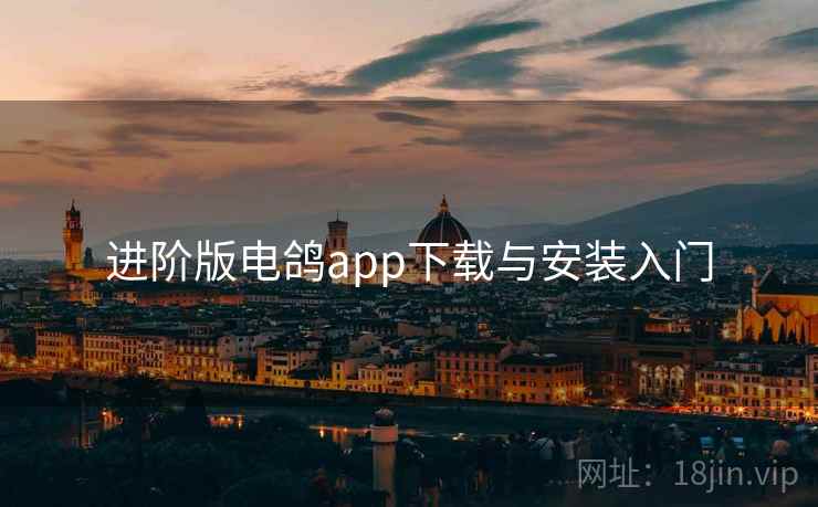 进阶版电鸽app下载与安装入门