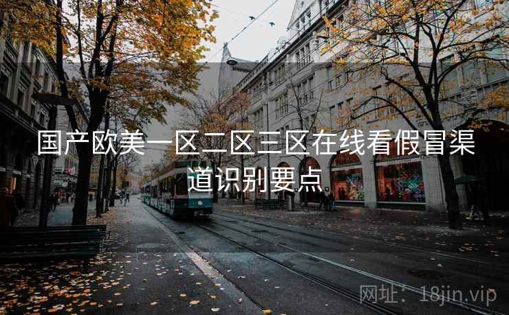 国产欧美一区二区三区在线看假冒渠道识别要点