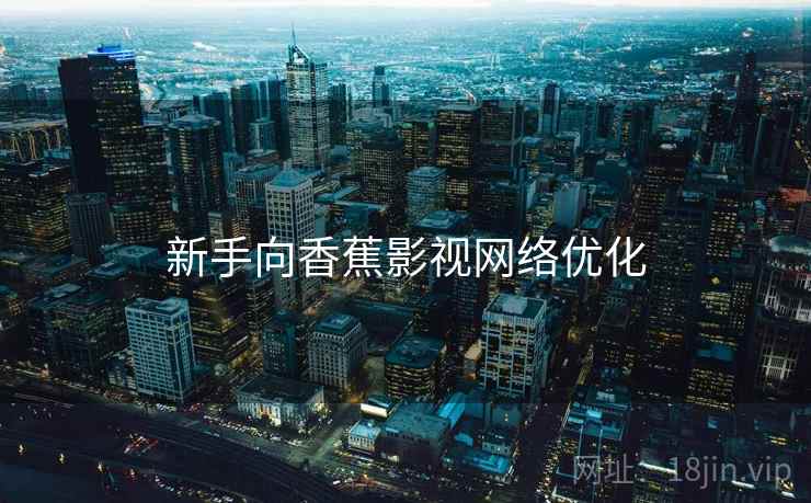 新手向香蕉影视网络优化