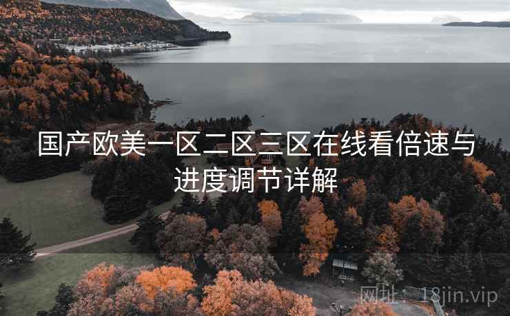 国产欧美一区二区三区在线看倍速与进度调节详解
